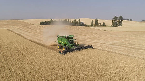 Aerial view of a John Deere combine cutting wheat on a sunny afternoon, Spokane County
