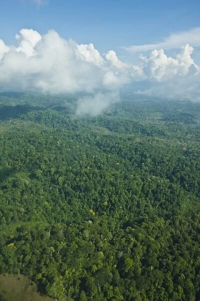 Aerial view of the jungle canopy in the heart of Corcovado National Park, Costa Rica