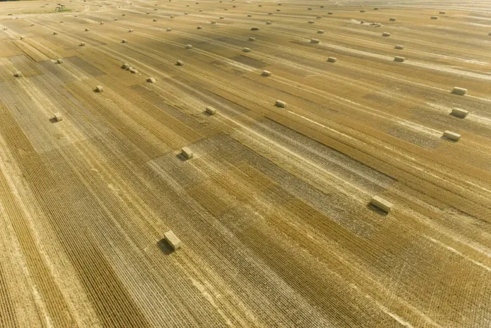 Framed Print : Aerial view of large square bales of wheat straw in field, Clay County, Illinois Framed Print : Aerial view of large square bales of wheat straw in field, Clay County, Illinois