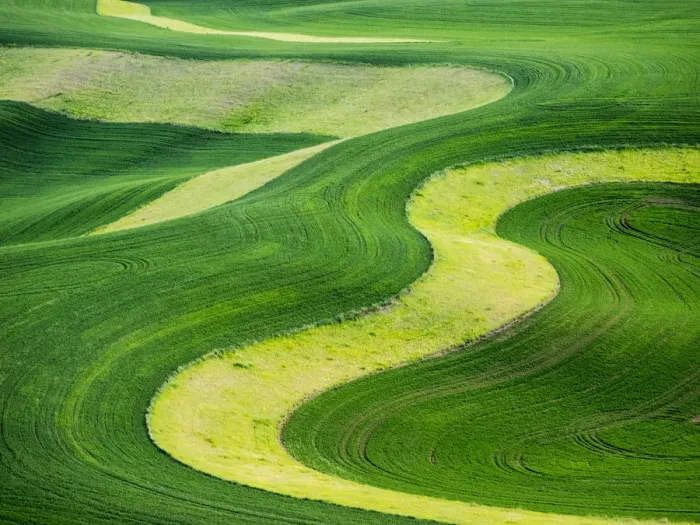 Framed Print : Aerial view of Palouse Region Framed Print : Aerial view of Palouse Region