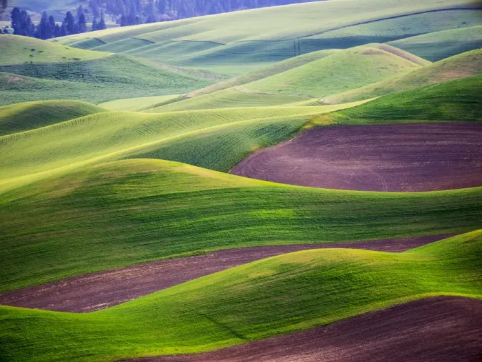 Framed Print : Aerial view of Palouse Region Framed Print : Aerial view of Palouse Region