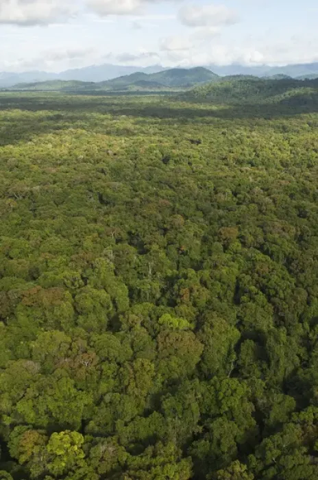 Framed Print : Aerial View of Rainforest Iwokrama Reserve GUYANA South America
