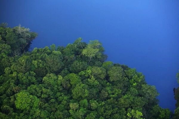 aerial view of tropical lowland forest bordering Lake Gatun, in Soberania National Park