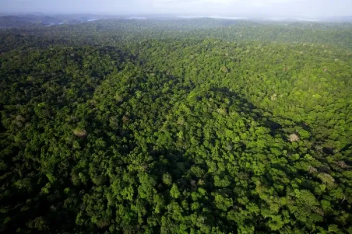 Framed Print : aerial view of tropical lowland forest in Soberania National Park, Panama