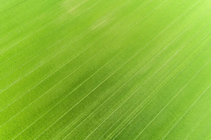 Framed Print : Aerial view of wheat field, Marion County, Illinois