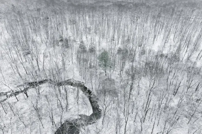 Framed Print : Aerial view of woods after a snowfall, Marion County, Illinois Framed Print : Aerial view of woods after a snowfall, Marion County, Illinois