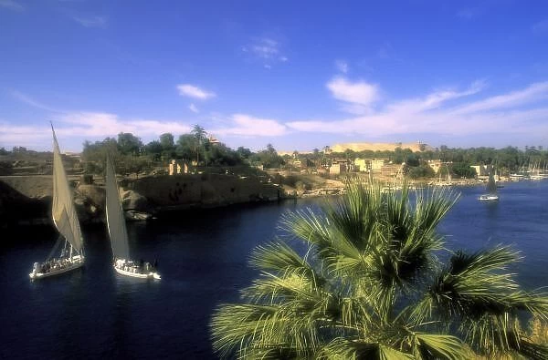AF, Egypt, Upper Egypt, Aswan. River Nile, Feluccas Sailing