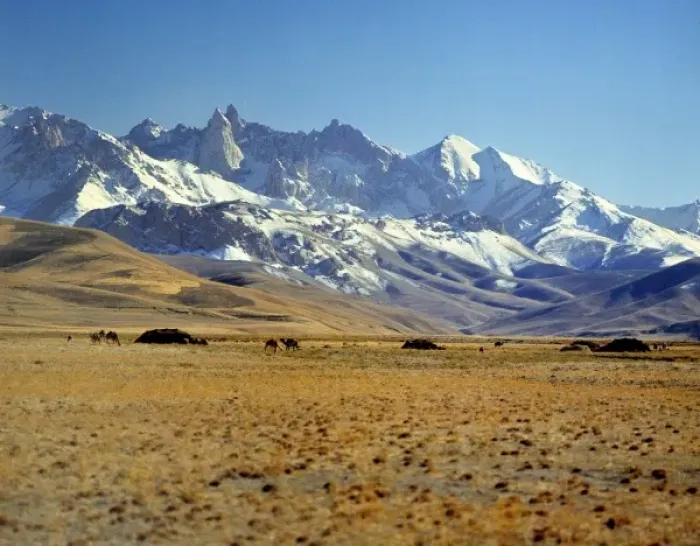 Framed Print : Afghanistan, Bamian Valley. A Kuchi nomad camp in Bamian Valley, a World Heritage Site