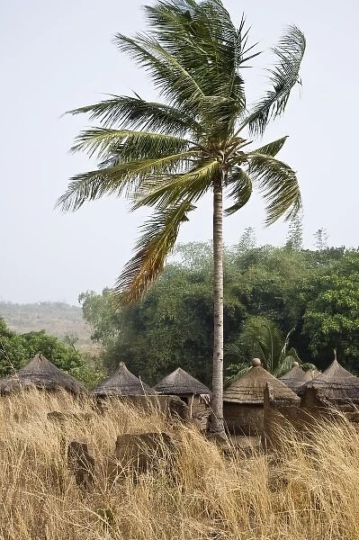 Africa, Benin