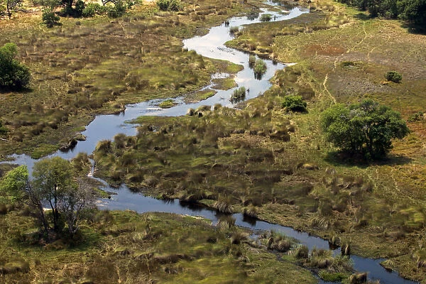 Africa, Botswana, Okavango Delta. Okavango tributary and landscape