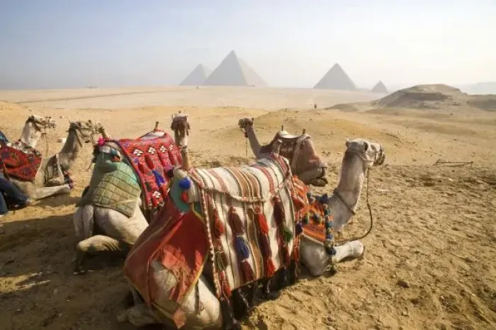Framed Print : Africa, Egypt Framed Print : Africa, Egypt