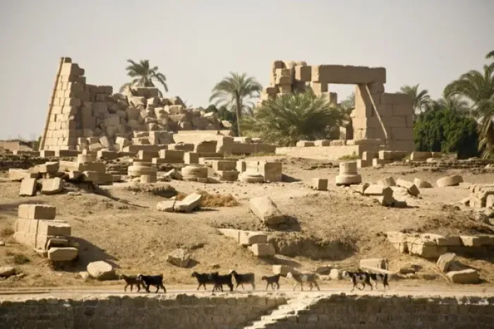 Framed Print : Africa, Egypt