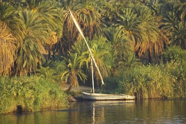 Africa, Egypt. Old abandoned sail boat along the Nile River Shoreline, Egypt