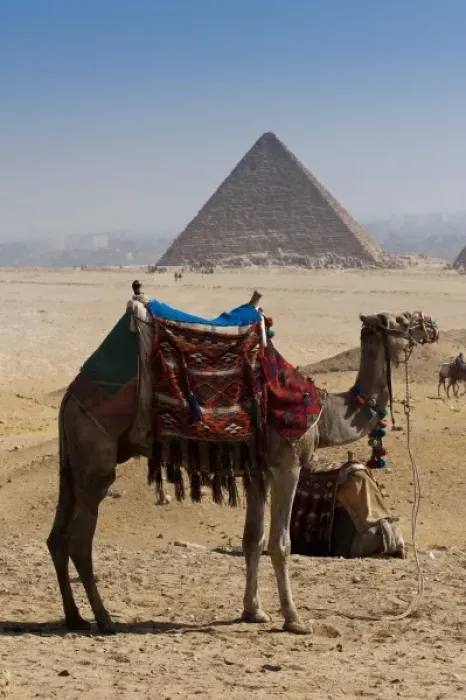 Framed Print : Africa, Egypt Framed Print : Africa, Egypt