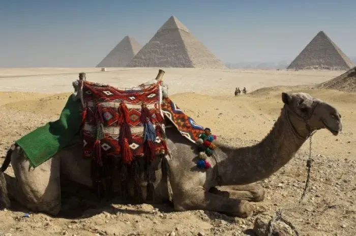 Framed Print : Africa, Egypt Framed Print : Africa, Egypt