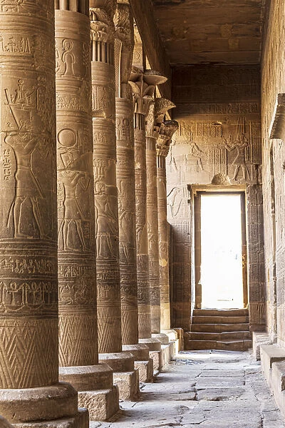 Africa, Egypt, Aswan. Philae Temple on Agilkia Island in the Nile River