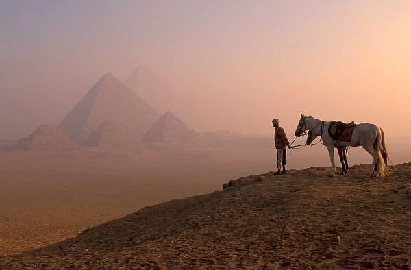 Africa, Egypt, Cairo, Giza, Giza pyramids at dawn with horses and guide (MR)