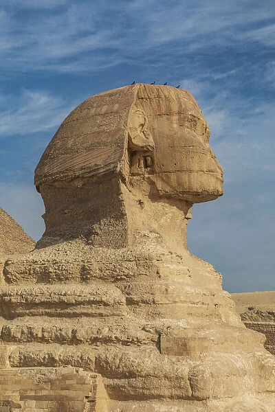 Africa, Egypt, Cairo. Giza plateau. Great Sphinx of Giza in front of the Great Pyramid of