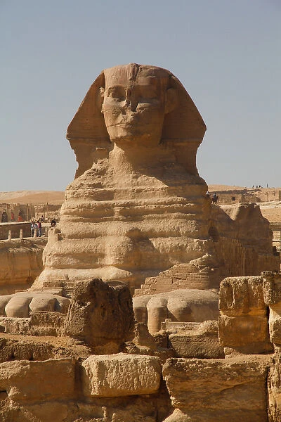 Africa, Egypt, Cairo, Giza Plateau, the Great Sphinx. A mythical creature with the body of a lion