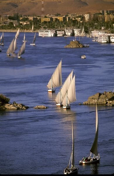 Africa, Egypt, Upper Egypt, Aswan. Feluccas sailing on the Nile River