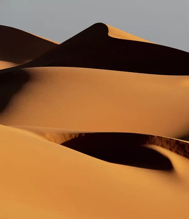 Framed Print : Africa, Erg Chebbi, Morocco. Desert dune contrast. ©Bill Young / Jaynes Gallery / DanitaDelimont.com Framed Print : Africa, Erg Chebbi, Morocco. Desert dune contrast. ©Bill Young / Jaynes Gallery / DanitaDelimont.com