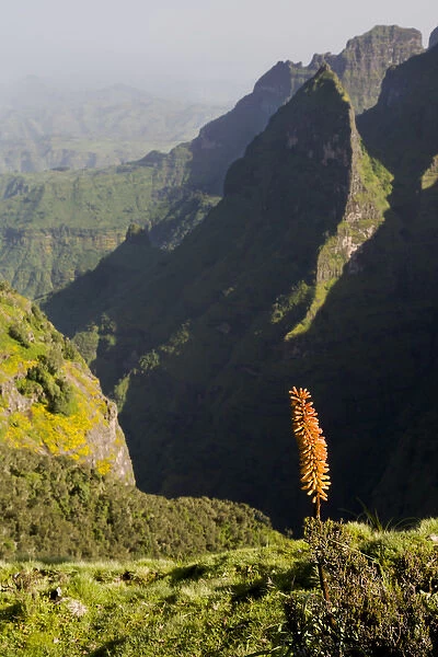 Africa, Ethiopia, Ethiopian Highlands, Western Amhara, Simien Mountains National Park