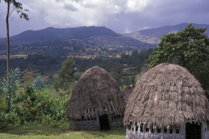 Framed Print : Africa, Ethiopia. Thatch huts of the Dorze tribe overlook the mountainous area of Framed Print : Africa, Ethiopia. Thatch huts of the Dorze tribe overlook the mountainous area of