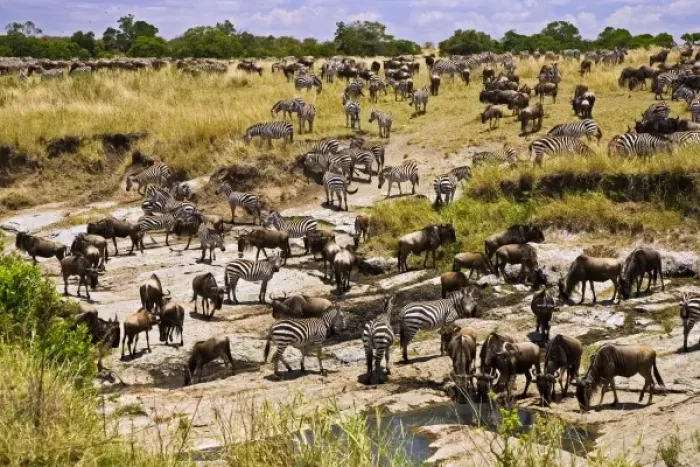 Framed Print : Africa, Kenya