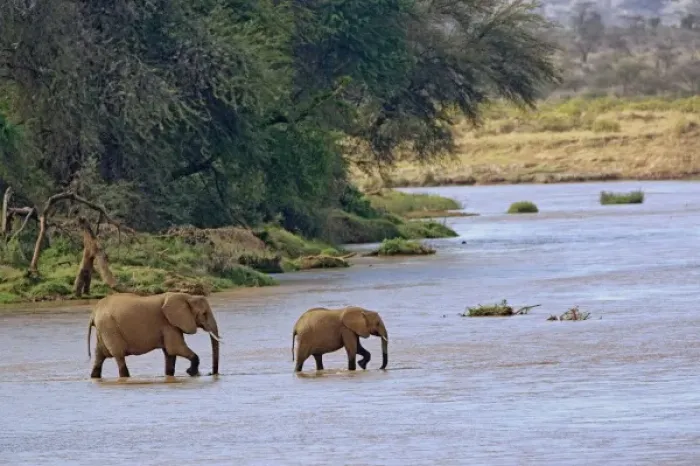 Framed Print : Africa, Kenya