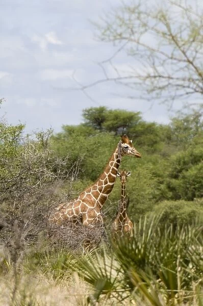 Africa, Kenya