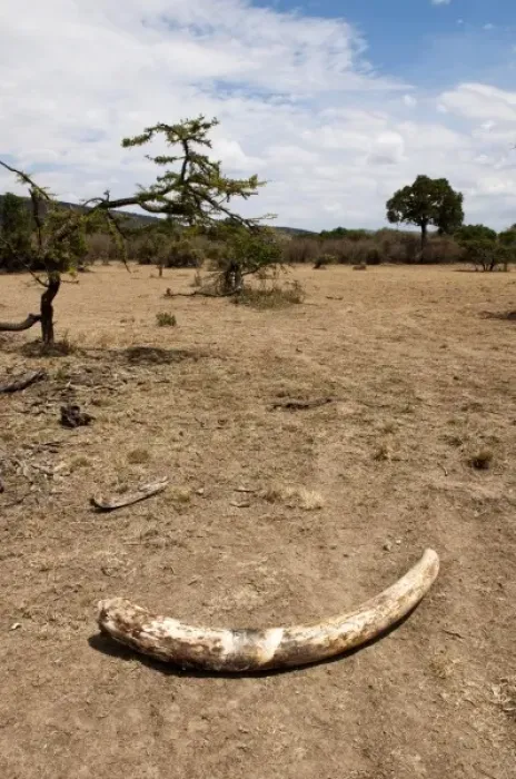 Framed Print : Africa, Kenya