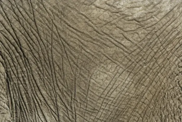 Framed Print : Africa, Kenya
