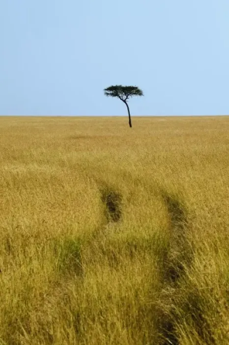 Framed Print : Africa, Kenya