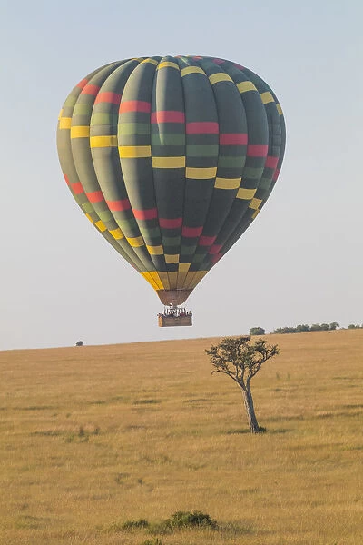 Africa, Kenya, Masai Mara National Reserve. Hot air balloon over savannah. 2016-08-04