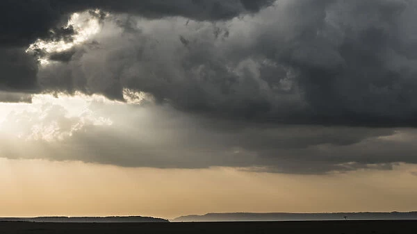 Africa, Kenya, Msai Mara National Reserve. Storm clouds over savannah at sunset