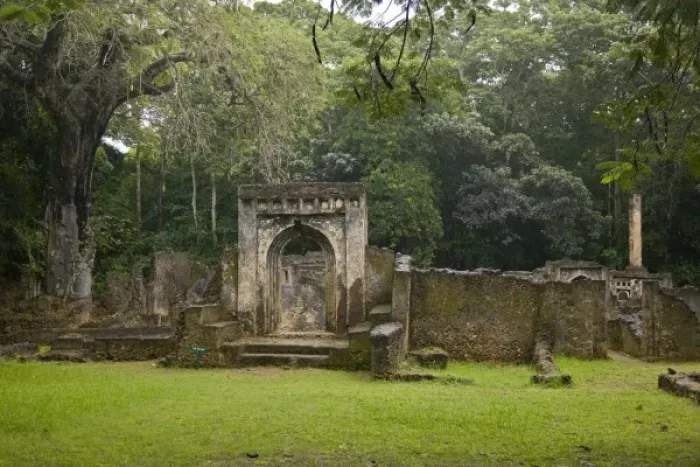 Framed Print : Africa. Kenya. Ruins at Gedi, an ancient Swahili city near Mombasa Framed Print : Africa. Kenya. Ruins at Gedi, an ancient Swahili city near Mombasa