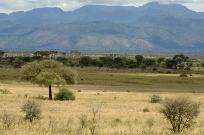 Framed Print : Africa, Kenya, a view of Meru National Park Framed Print : Africa, Kenya, a view of Meru National Park