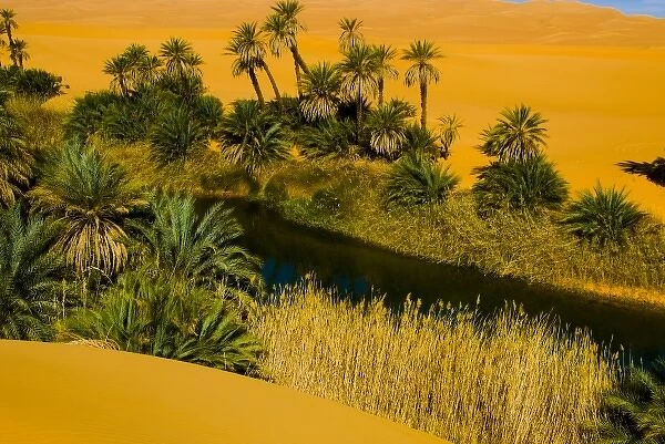 Africa, Libya