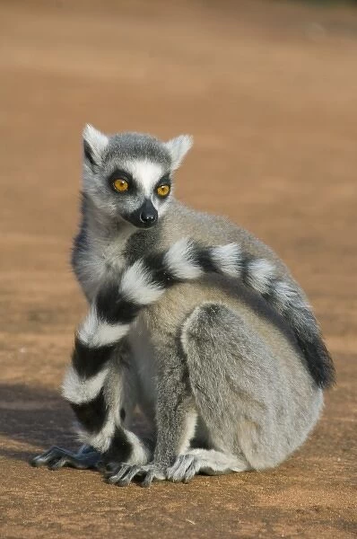 Africa, Madagascar