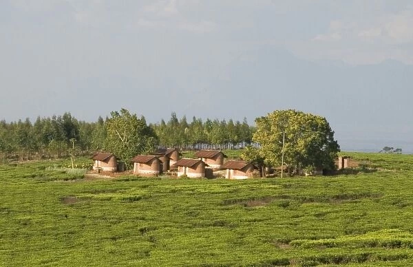 Africa, Malawi