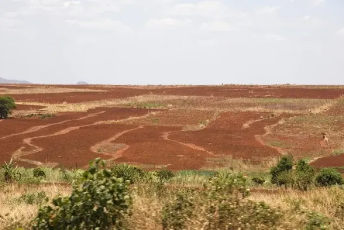 Framed Print : Africa; Malawi; Dadza; Plowed fields near Dadza Framed Print : Africa; Malawi; Dadza; Plowed fields near Dadza