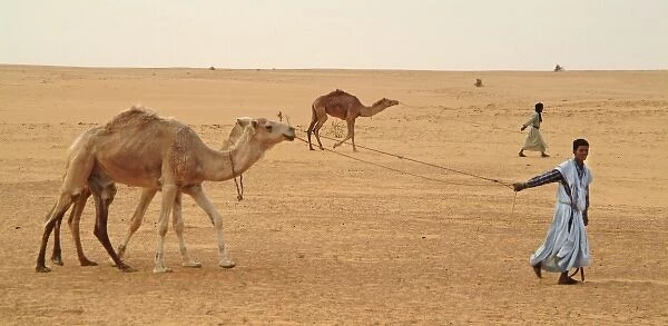 Africa, Mauritania