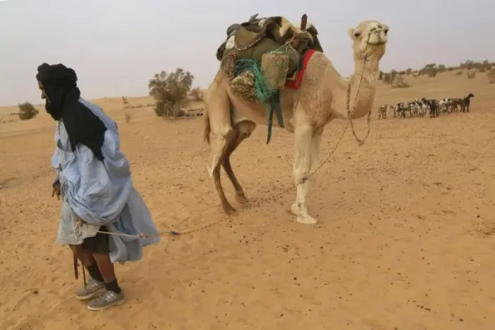 Framed Print : Africa, Mauritania
