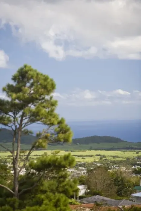 Framed Print : Africa, Mauritius
