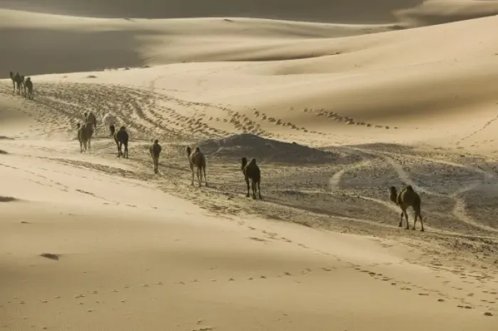 Framed Print : Africa, Morocco