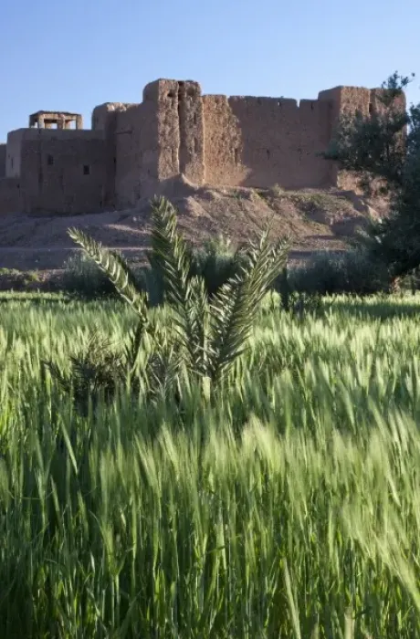 Framed Print : Africa, Morocco