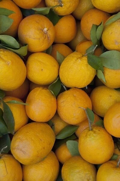 Africa, Morocco, Casablanca. Central Market (aka Olive Market), fresh local oranges