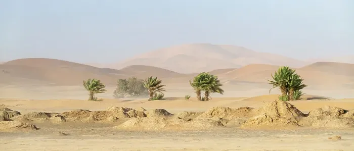 Framed Print : Africa, Morocco, Erg Chebbi. Trees and sandstorm over desert. ©Bill Young / Jaynes Gallery / DanitaDelimont.com Framed Print : Africa, Morocco, Erg Chebbi. Trees and sandstorm over desert. ©Bill Young / Jaynes Gallery / DanitaDelimont.com