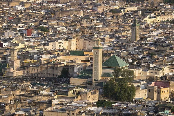 Africa, Morocco, Fes. Detail of the city from above at the Tombs du Merenides