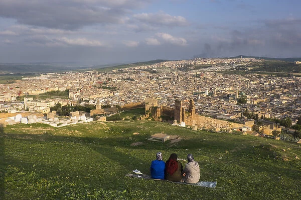 Africa, Morocco, Fes. Overview of the city from the Tombs de Merenidi